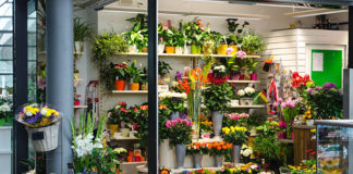 Guide for Sending the Right Flowers at the Right Time