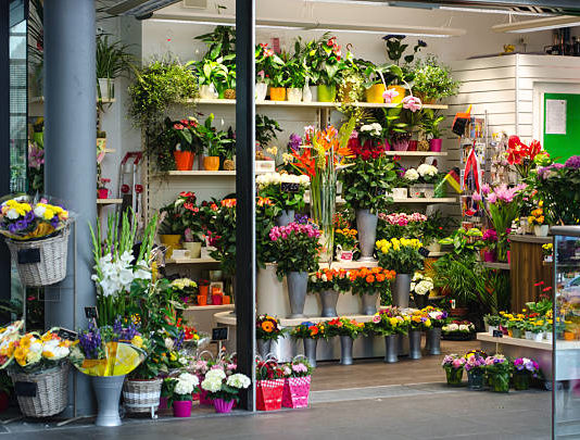 Guide for Sending the Right Flowers at the Right Time