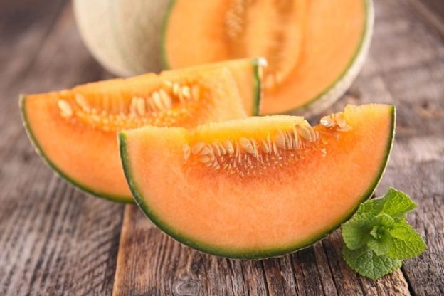 Buah Melon